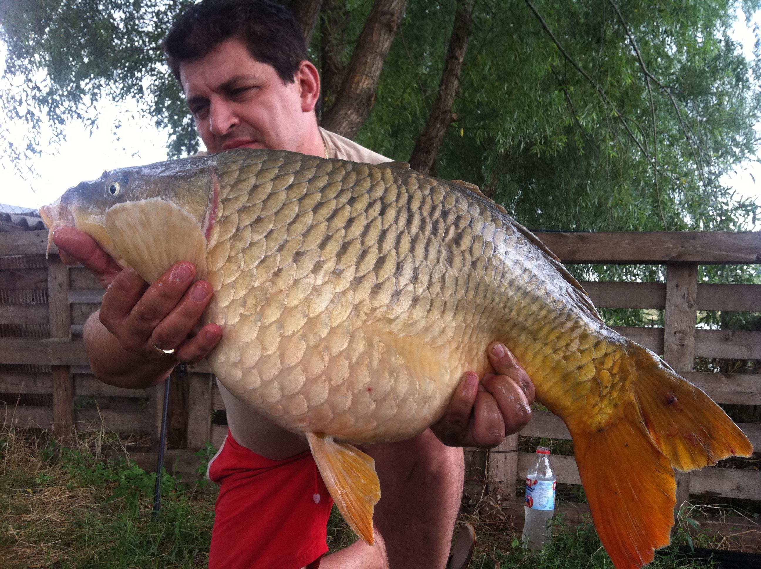 Greaca -2011 - IMG_0525.JPG